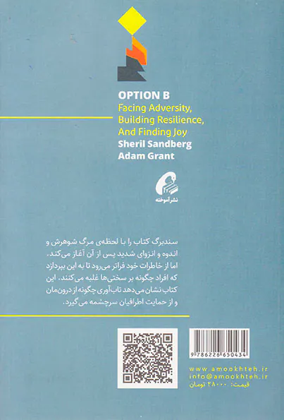 گزینه ی دوم(رویارویی با مشقت ایجاد تاب آوری و یافتن شادی)